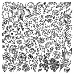 Vector black line art flowers leaves berries floral wedding botanical elements - 421359495