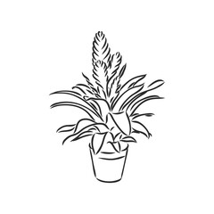 Sansevieria trifasciata hand drawn vector outline doodle icon. Decorative potted house plant sketch illustration for print, web, mobile and infographics isolated on white background.