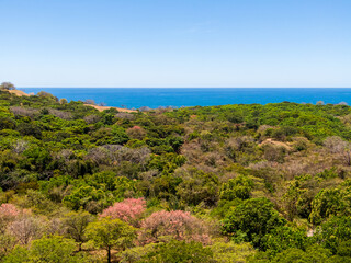 Fototapeta premium Beautiful aerial view of the Carrillo beach and ocean in Costa Rica