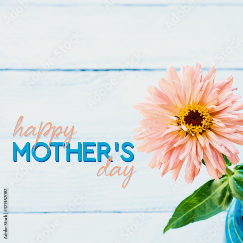 Happy Mother's day zinnia flower on white wood background for mom holiday during spring.