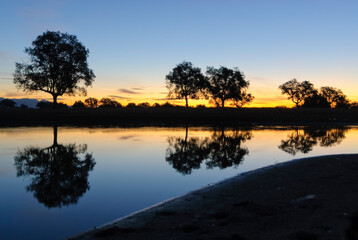 Reflections on a lake at dawn