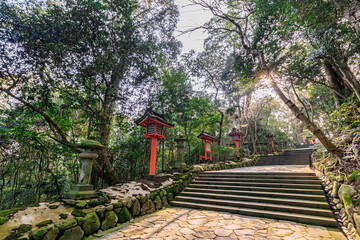 春の宇佐神宮　大分県宇佐市　Usazinguu in spring Ooita-ken Usa city