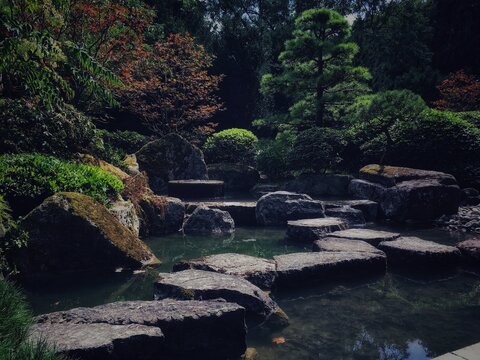 Botanical Garden - Lake