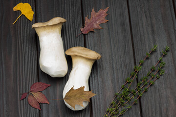 Two large mushrooms and sprig of thyme