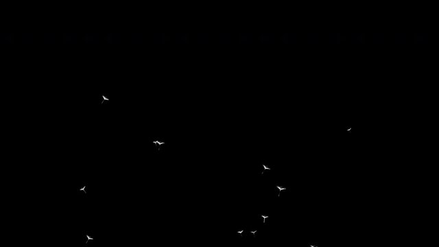 In spring and summer, dandelion seeds fly upwards, Use it to enhance any video presentation or animation movie or Cinematic clips or film project, Isolated by Alpha channel (transparent background)