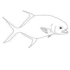 Outline of a Permit Fish