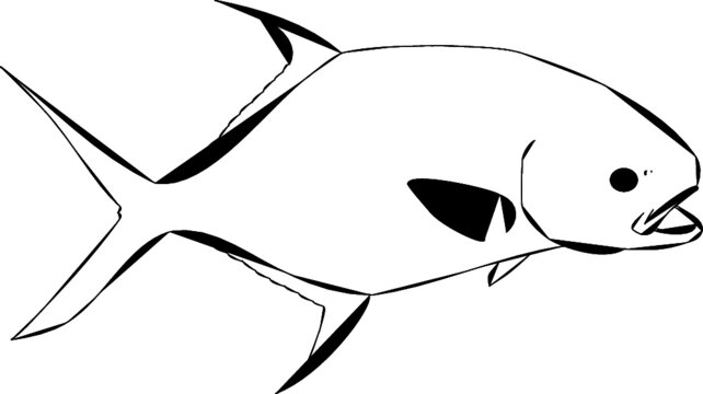 Modern Lined Permit Fish