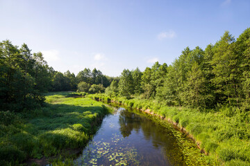 dirty water in a lake or river