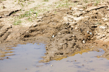 rural road without asphalt