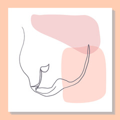 Beautiful minimalistic line art painting of a cat's face with slightly colored spots on a white background in a frame. Adorable cat looking down. Soft colors. Vector, eps10.