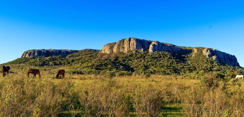 Cerro Arequita, Lavalleja