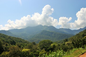 Obraz premium landscape