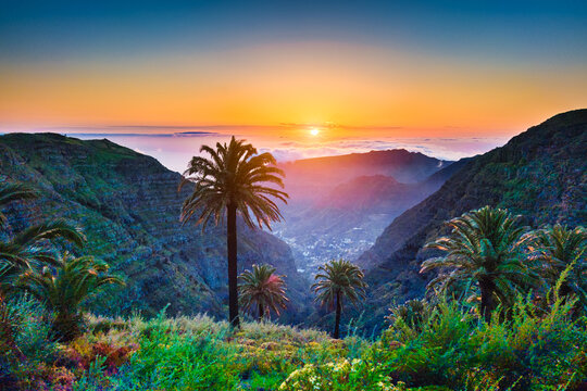 Scenic View Of Palm Trees On Mountain During Sunset