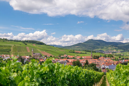 Blick auf den Weinort Birkweiler
