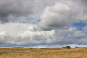 Obraz premium The Bugulma-Belebey Upland, the North-East of the Samara region.