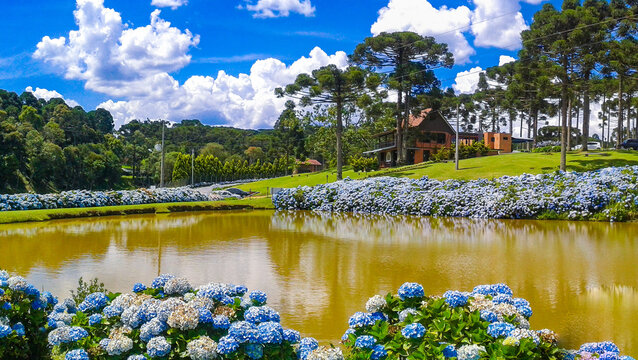 Lago com flores e casa r&uacute;stica ao fundo