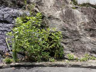 The street ends in a stone hill.