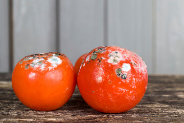 ripe red tomato covered with mold