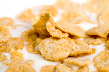 oatmeal and other cereals