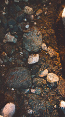 stone in the water
