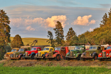 USA, Washington State, Palouse. Antique trucks.