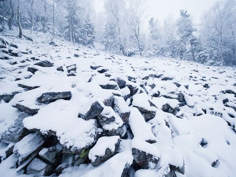 Rocky Terrain With Fresh Powder Snow, Landscape Hidden In Heavy Fog. Misty Winter Day