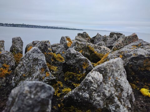 Mossy Rocks In Newport, Rhode Island