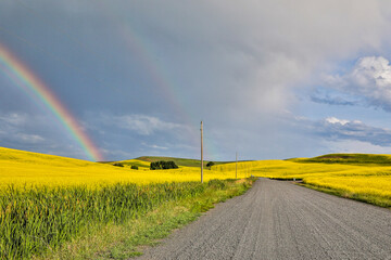 USA, Washington State, Palouse. Double rainbows over the canola fields in Pullman.