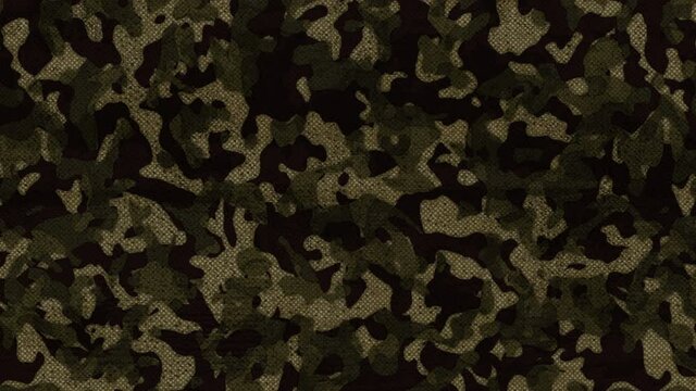 
Camouflage background. Animated Texture. 4K loop animation. 迷彩背景ループ動画 4K
