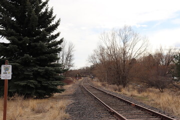 Fototapeta premium Train Tracks