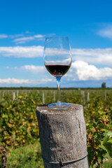 Argentina, Valle de Uco, viticulture on the edge of the Andesnear Mendoza. A glass of Argentinean red Malbec wine.