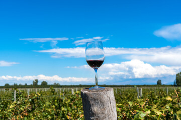 Argentina, Valle de Uco, viticulture on the edge of the Andes near Mendoza. A glass of Malbec wine...