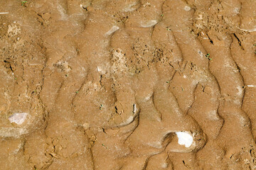 close-up photo of sand and soil