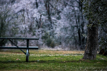 Obraz na płótnie Canvas Green Picnic Table In A Winter Wonderland
