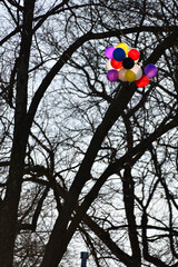 Big Bunch of Balloons