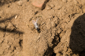 close-up photo of sand and soil