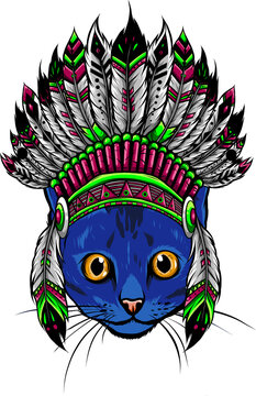 Head Of Cat With Indian Hat Vector