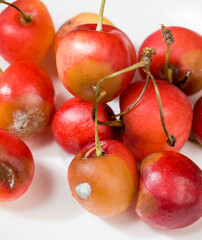 rotten cherries on a wooden table