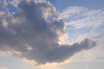 鳳凰現る　Phoenix appears