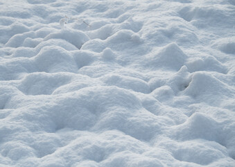 Fototapeta premium 雪景色