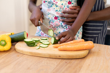 Close up of african american couple spending time in kitchen cooking together