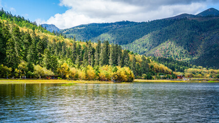 Shudu lake scenic view with autumn colours forest and mountains in distance in Potatso national park Shangri-La Yunnan China