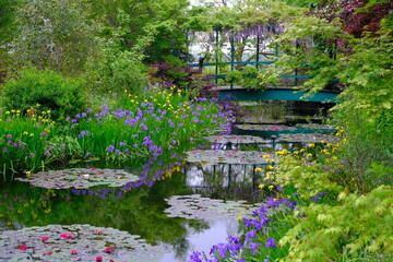 Monet's Pond モネの池