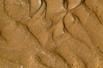 close-up photo of sand and soil