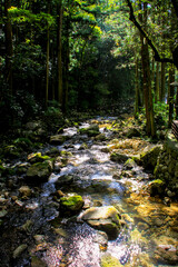 Obraz premium 秋芳洞