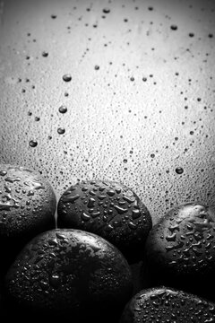 Wet spa stones on dark background