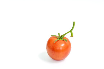 Tomatoes on a white background