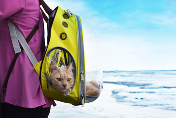 People and a cat with transparent backpack carrier on the beach. Traveling with pet concept.