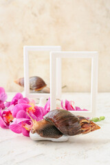Giant Achatina snail, flowers and pebble on light background