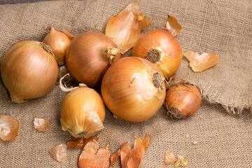 the onion lies on the background of burlap